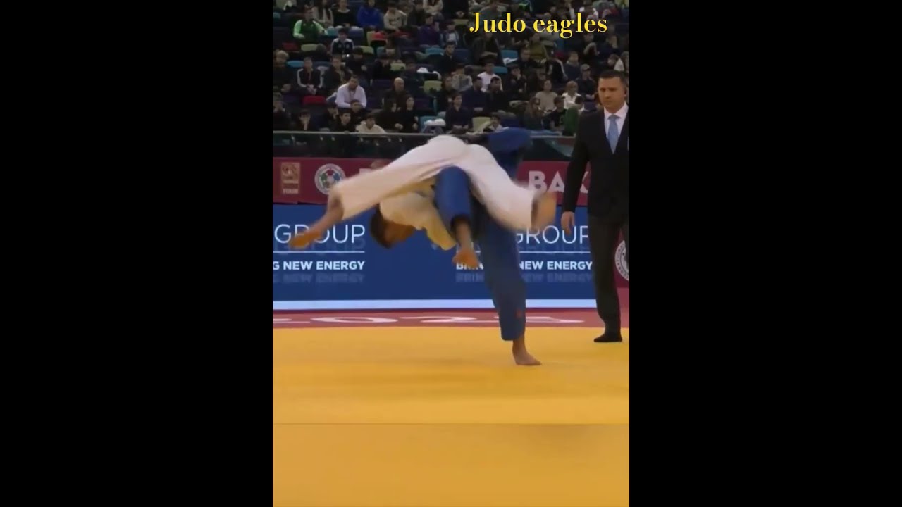 让球迷们热