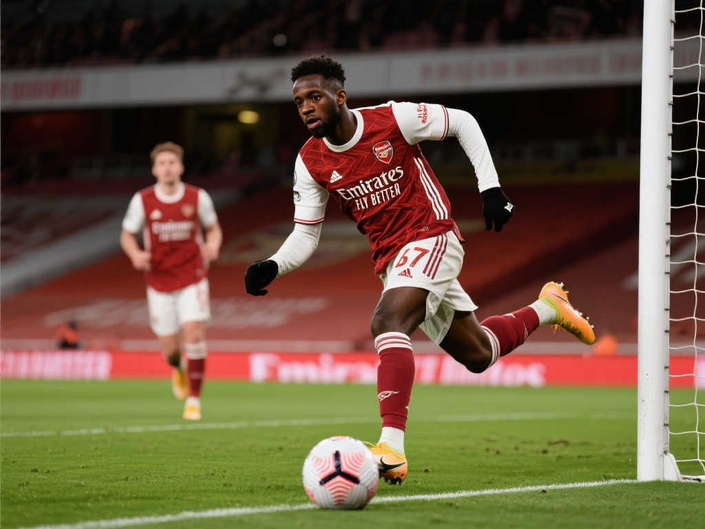 本土球员的 本土球员的